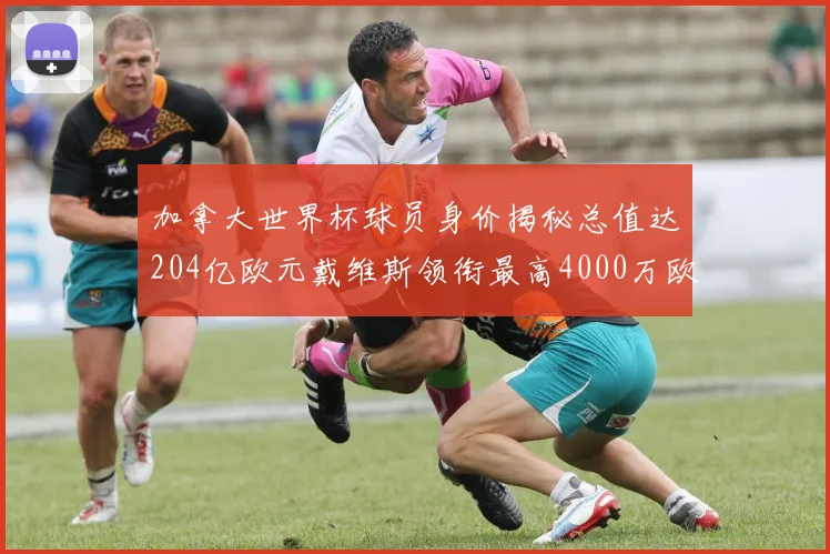 加拿大世界杯球员身价揭秘总值达204亿欧元戴维斯领衔最高4000万欧